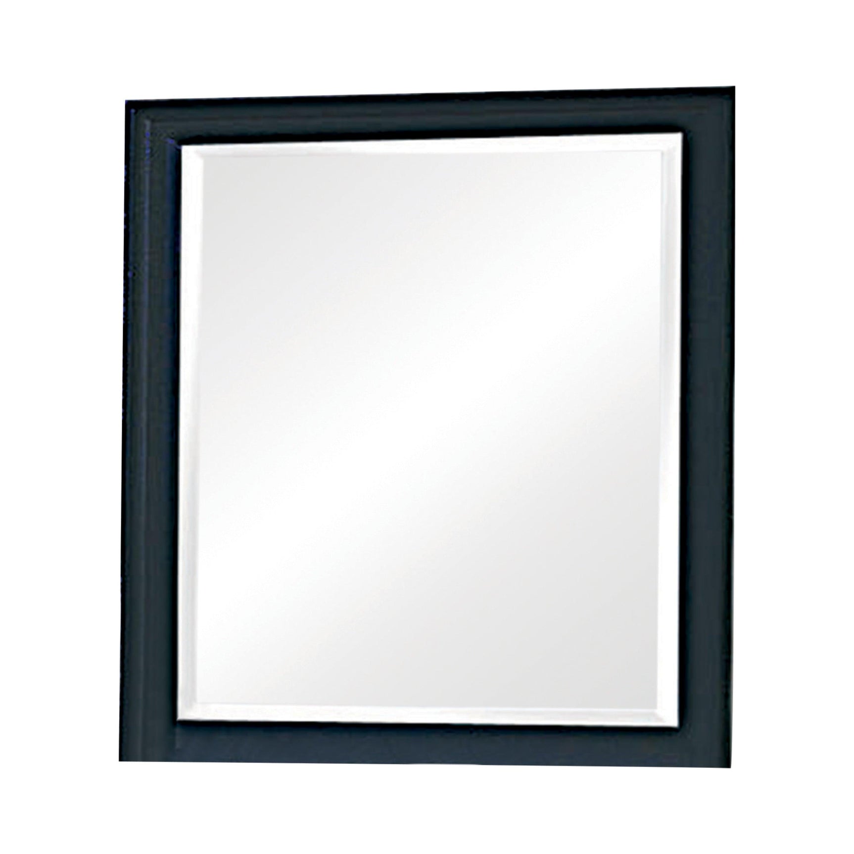 Sandy Beach Black Vertical Dresser Mirror angled side view