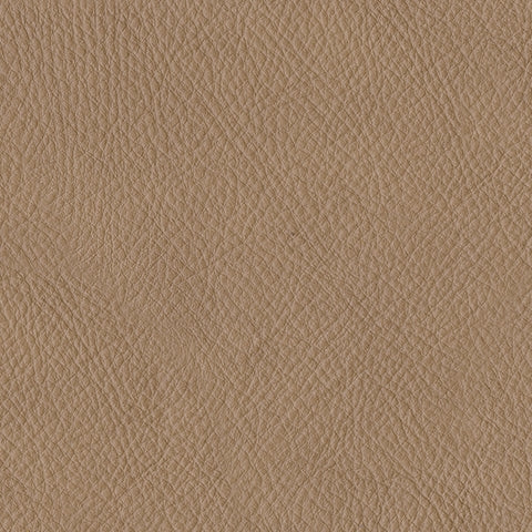 Close-up main view of Bandon Toffee Leather 2-Piece Sectional sectional sofa