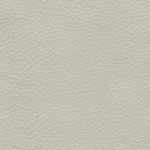 Genoa Coconut Leather Loveseat - Ella Furniture