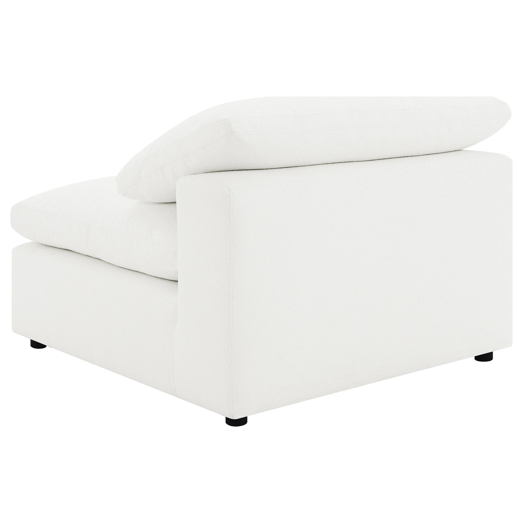 Side angle showing Raleigh sectional's curves