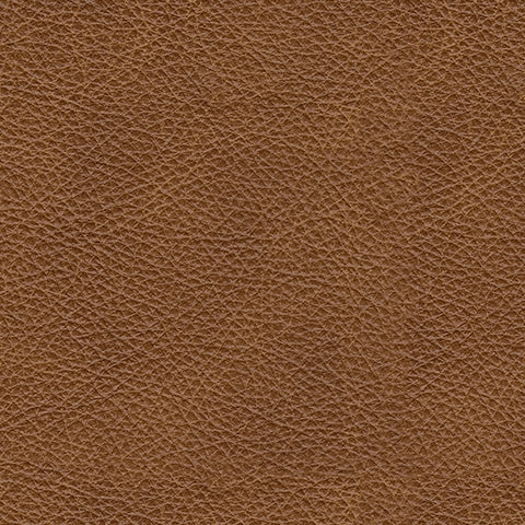 Leather material swatch for Carianna loveseat
