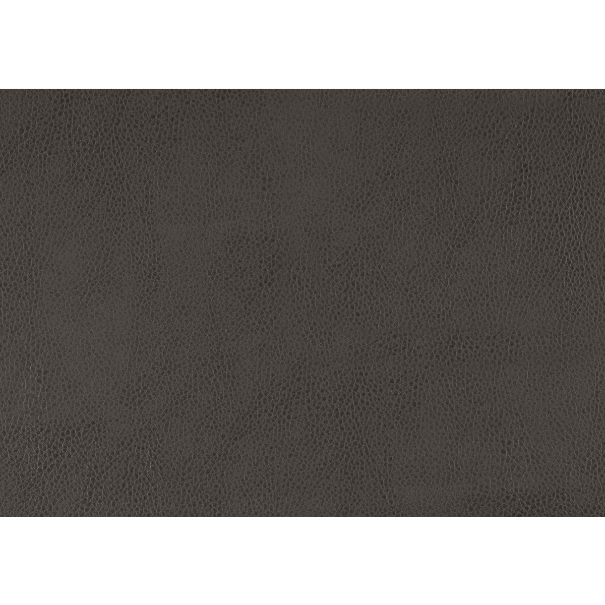 Durant Gray Upholstery Swatch