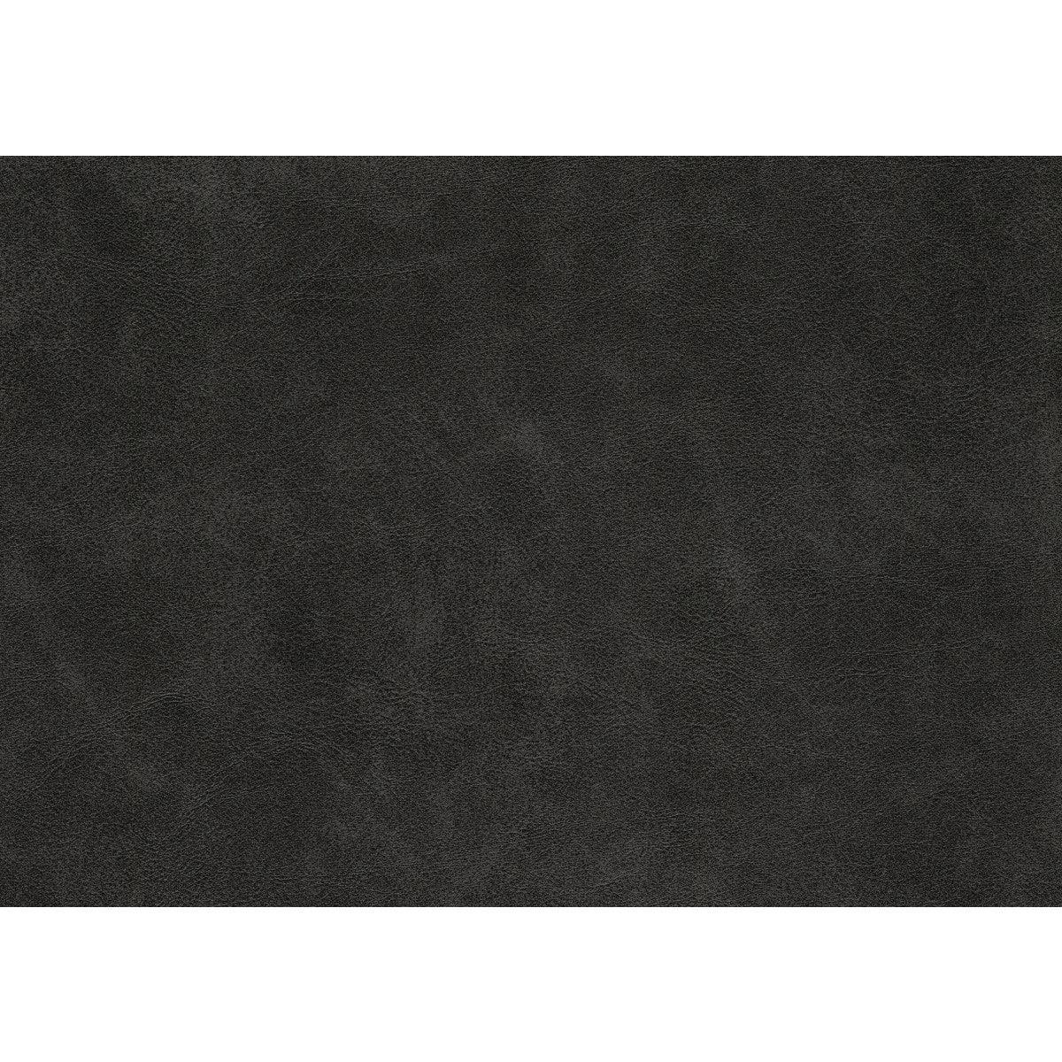 Putnam Gray gray microfiber fabric swatch