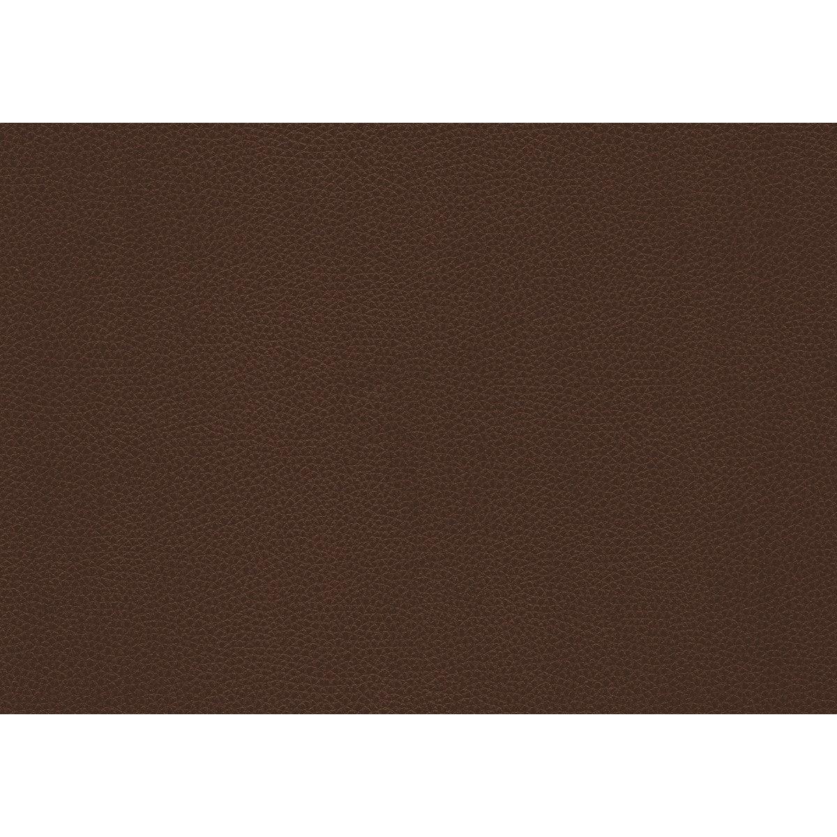 Briscoe Brown Two-Tone Faux Leather upholstery fabric swatch dark brown