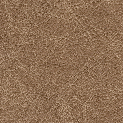 Tumbleweed leather upholstery swatch