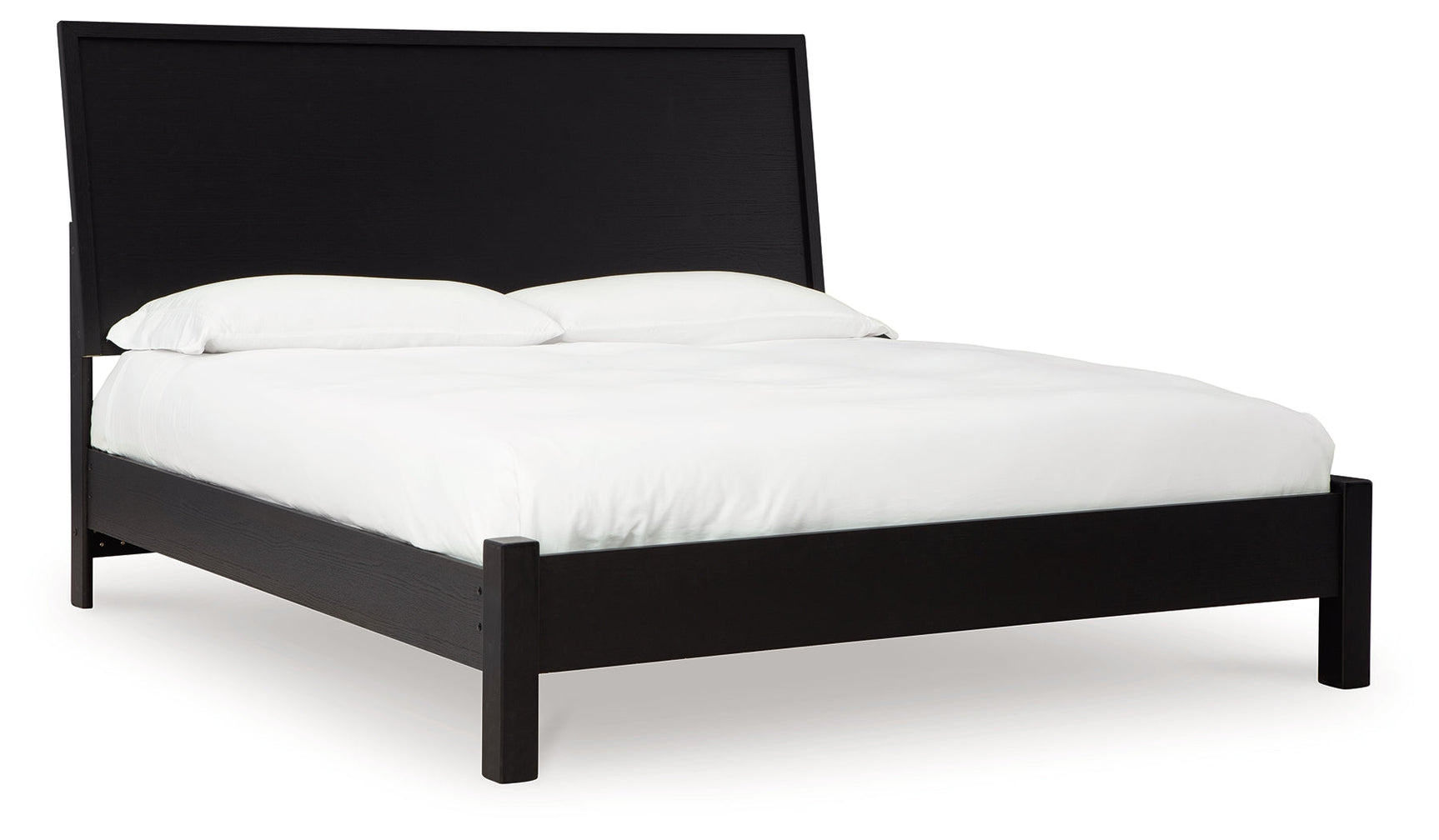 Danziar Black Queen Panel Bed