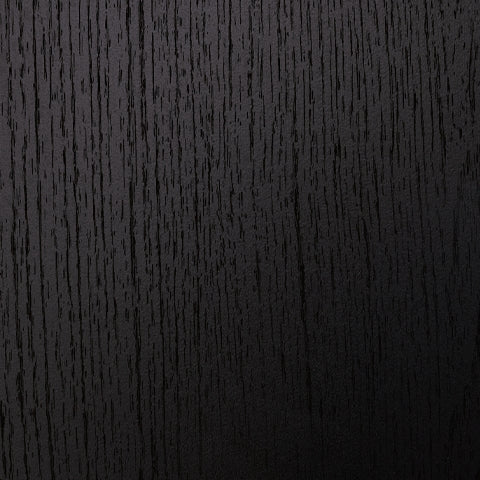 Danziar Black Queen Panel Bed