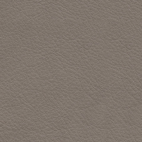 Leather upholstery color swatch in Coin light shade
