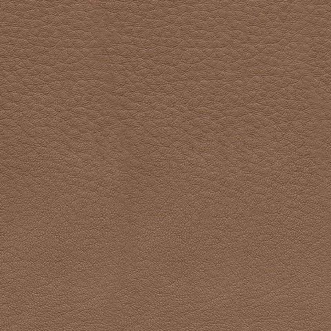 Caramel leather swatch for DeepWakes sofa