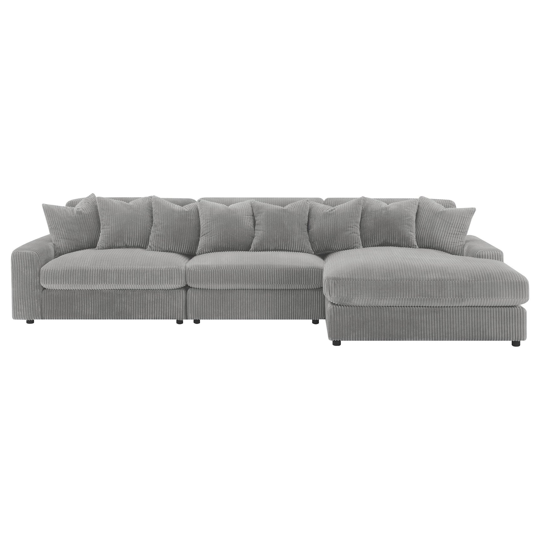 Main view of Blaine Sectional Sofa and armless chair