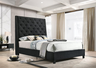 Chantilly Black Velvet Upholstered Tufted King Bed front view