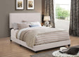 Front view of Boyd Full Upholstered Bed in Ivory with Nailhead Trim