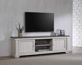 Leighton Light Gray TV Stand front angle showing storage compartments