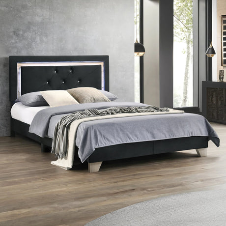 Wally full size black velvet tufted platform bed with LED lighting front view