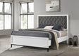 Sonora Queen Upholstered Panel Bed White front view