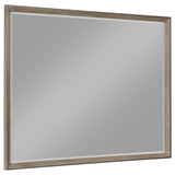 Durango 8-drawer dresser mirror front view in washed oak finish