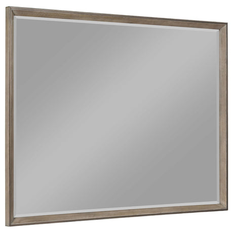 Durango 8-drawer dresser mirror front view in washed oak finish