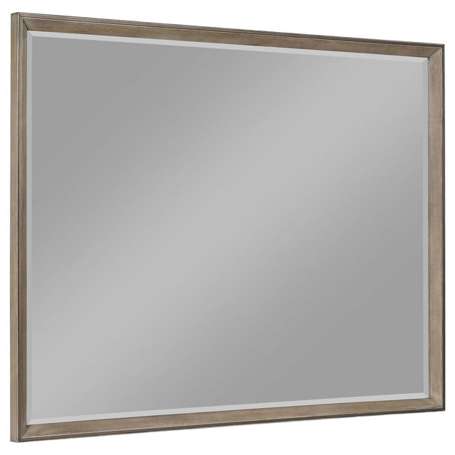 Durango 8-drawer dresser mirror front view in washed oak finish