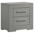 Ives 2-Drawer Nightstand Grey High Gloss front view