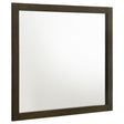 Wilkes Dresser Mirror in dark cocoa finish, front view