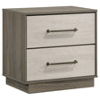 Fenwick 2-drawer nightstand bedside table grey oak front view