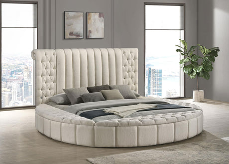 Sonya Upholstered Eastern King Round Storage Bed Ivory front view
