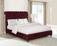Devon 57-inch Upholstered Queen Panel Bed Wine Red front view