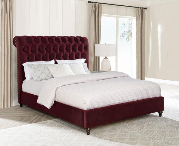 Devon 57-inch Upholstered Queen Panel Bed Wine Red front view