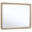Ladera rectangular dresser mirror with light elm wood frame front view