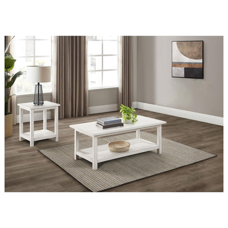 Payne 2-piece distressed white coffee and end table set, front view