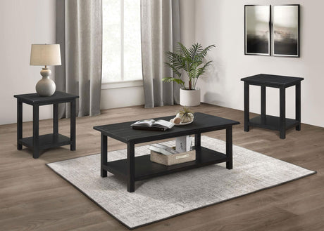 Payne 3-piece coffee and end table set front view