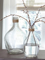 Marcin clear glass vase set of 2 displayed side by side