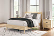 Cabinella Tan Full Platform Panel Bed - Front View