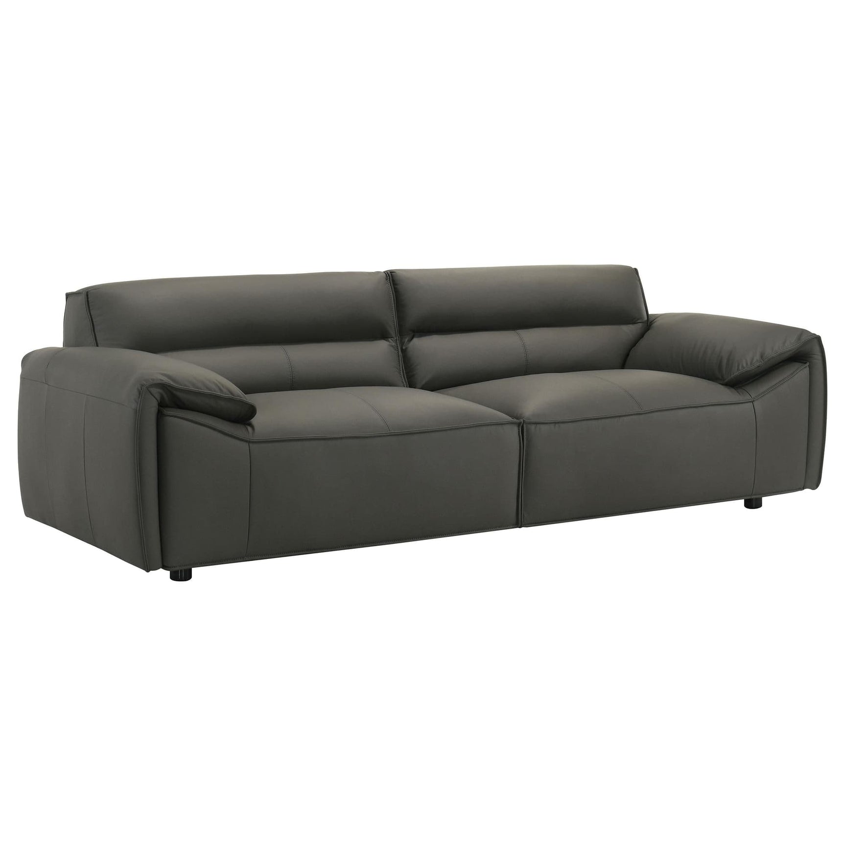 Buxton Top Grain Leather Sofa graphite main view