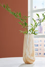Cammen Ceramic Tan and White Vase front view