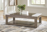 Loyaska grayish brown and white lift-top coffee table front view
