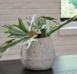 Claymount Distressed Brown Decorative Vase front view