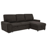 Demko Sleeper Sectional Sofa with Storage Chaise, front view
