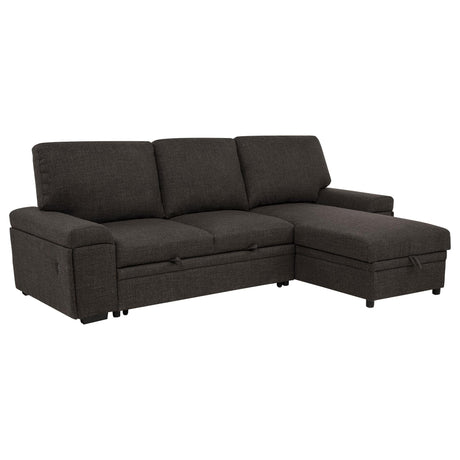Demko Sleeper Sectional Sofa with Storage Chaise, front view
