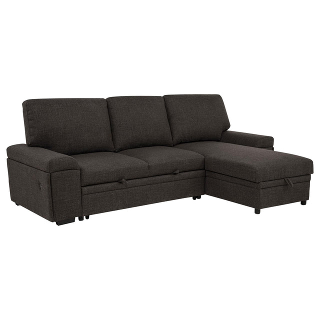 Demko Sleeper Sectional Sofa with Storage Chaise, front view