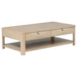 Marcelo Elm Wood Coffee Table showing elm veneer top and two drawers