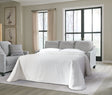 Adlai Shadow Chenille Queen Sofa Sleeper front view in chenille fabric