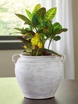 Meadie distressed white ceramic vase front angle