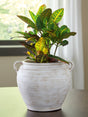 Meadie distressed white ceramic vase front angle