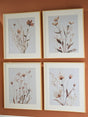Chettings beige gray blush framed floral wall art set of 4 hung on wall