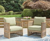 Serena Beige and Green Shores Outdoor Sofa and Chair set front view