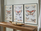 Jossletts wall art set of 3 with orange black ivory butterfly prints front view