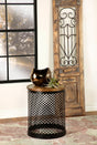 Aurora Round Accent Table natural mango wood top and black iron drum base front angle