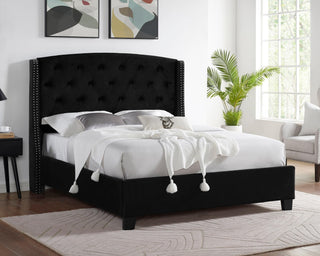 Eva Black Velvet King Bed, front view showing tufted headboard