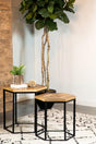 Adger 2-piece hexagon nesting tables top view showing natural mango wood finish and black iron frame